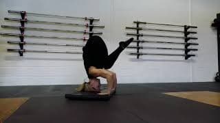 Video 1